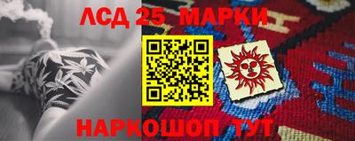 спиды Обь