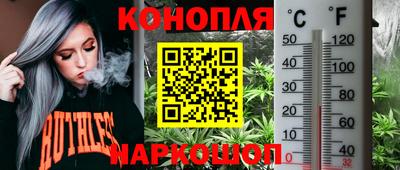 спиды Обь