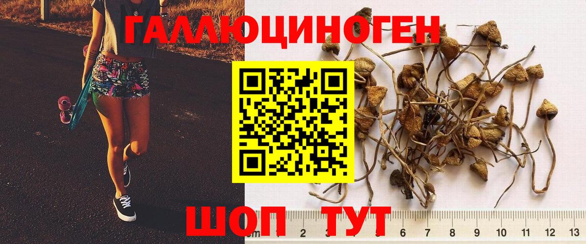 Галлюциногенные грибы GOLDEN TEACHER Полевской
