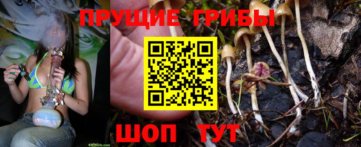 Псилоцибиновые грибы прущие грибы  Вход с VPN  Полевской 